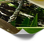 Weißer Papagei mexikanisches Poster (Ecke)