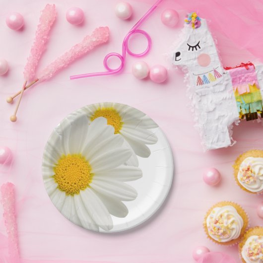 Weißer Pappteller (Party)