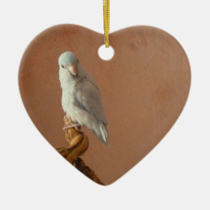 Weißer Parrotlet Keramik Ornament