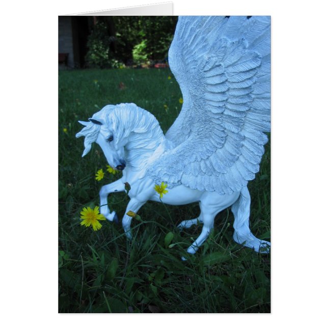 Weißer Pegasus (Vorne)