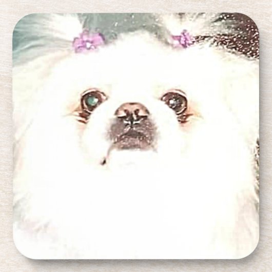Weißer Pekingese Hund Hartkunststoff Untersetzer (Vorderseite)