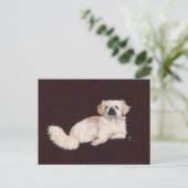 Weißer Pekingese Hund Postkarte (Stehend Vorderseite)
