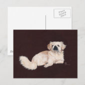 Weißer Pekingese Hund Postkarte (Vorne/Hinten)