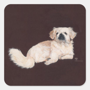 Weißer Pekingese-Hund Quadratischer Aufkleber