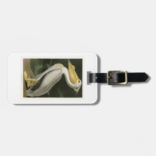 Weißer Pelikan-John James Audubon-Vögel von Gepäckanhänger (Vorderseite horizontal)