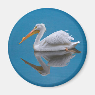 Weißer Pelikan-Reflexions-Magnet Magnet