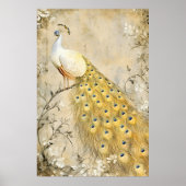 Weißer Pfau auf einem Ast sitzend.   Poster (Vorne)