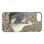 Weißer Pfau, Idaho Case-Mate iPhone Hülle (Rückseite (Horizontal))