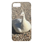 Weißer Pfau, Idaho Case-Mate iPhone Hülle (Rückseite)