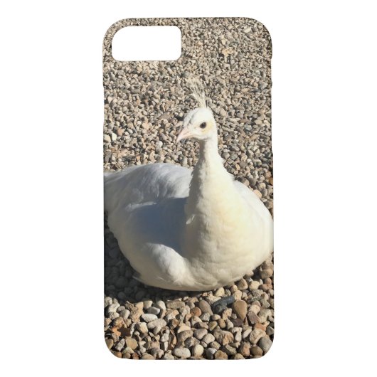 Weißer Pfau, Idaho Case-Mate iPhone Hülle (Rückseite)