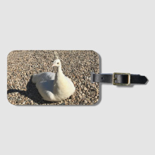 Weißer Pfau, Idaho Gepäckanhänger