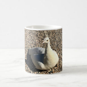 Weißer Pfau, Idaho Kaffeetasse