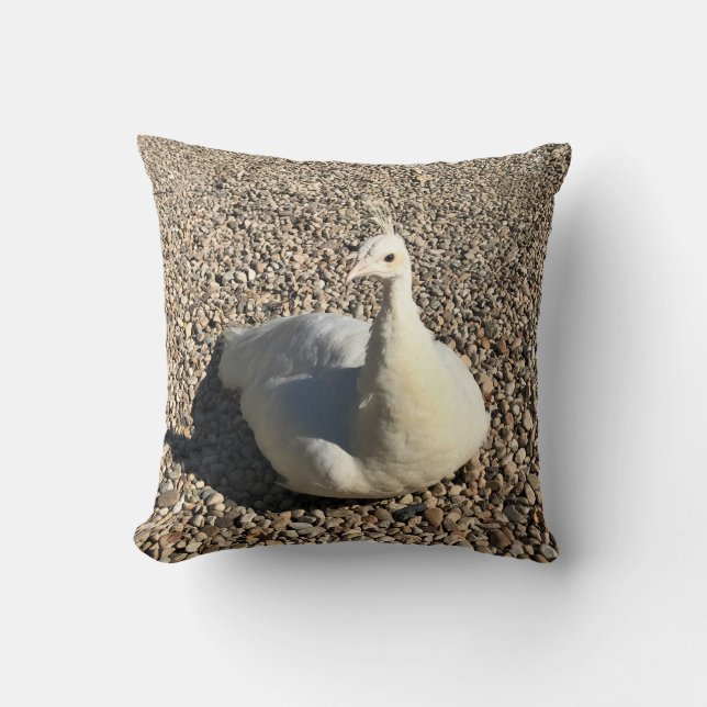Weißer Pfau, Idaho Kissen (Vorderseite)
