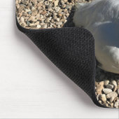 Weißer Pfau, Idaho Mousepad (Ecke)