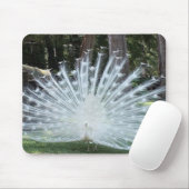 Weißer Pfau Mousepad (Mit Mouse)