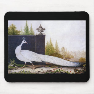 Weißer Pfau Mousepad