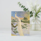 Weißer Pfau Postkarte (Stehend Vorderseite)