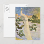 Weißer Pfau Postkarte (Vorne/Hinten)