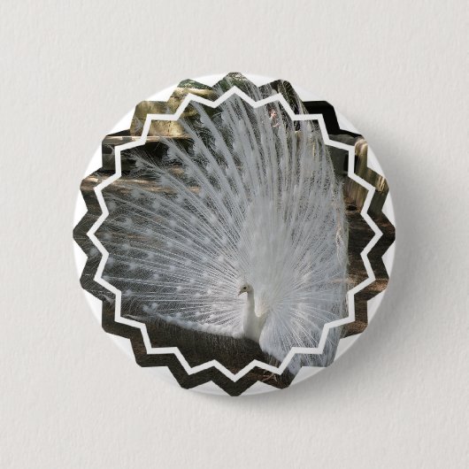 Weißer Pfau-runder Knopf Button (Vorderseite)
