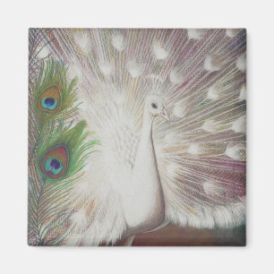 Weißer Pfau und grüne Pfau-Federkunst drucken Magnet