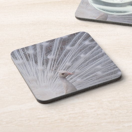 Weißer Pfau Untersetzer (Linke Seite)