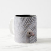 Weißer Pfau Zweifarbige Tasse (Vorderseite Links)