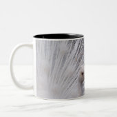 Weißer Pfau Zweifarbige Tasse (Links)