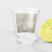 weißer Pfauenfalter auf Blättern Schnapsglas (Rückseite)
