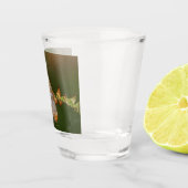 weißer Pfauenfalter auf Blättern Schnapsglas (Rechts)