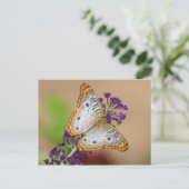 Weißer Pfauenschmetterling auf violetten Blumen Postkarte (Stehend Vorderseite)