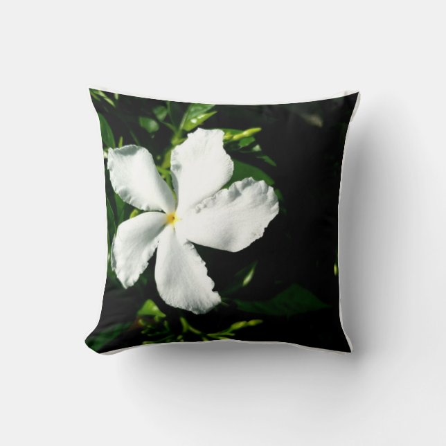 Weißer Pinwheel Jasmine in Sonnenlicht Kissen (Vorderseite)