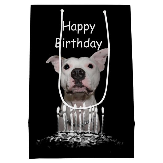 Weißer Pitbull Geburtstag Mittlere Geschenktüte (Rückseite)