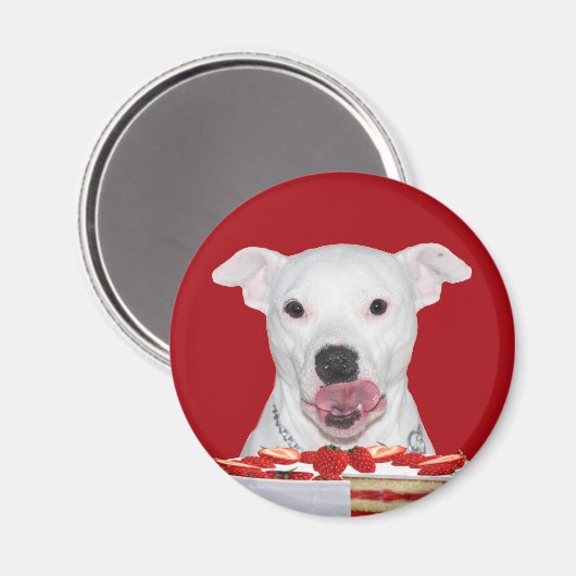 Weißer Pitbull Magnet (Vorderseite/Rückseite)
