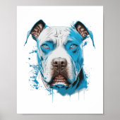 Weißer Pitbull mit blauen Augen Poster (Vorne)