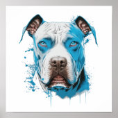 Weißer Pitbull mit blauen Augen Poster (Vorne)