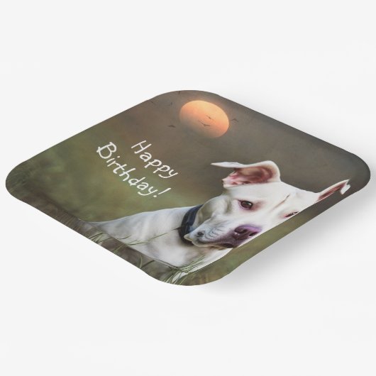 Weißer Pitbull Pappteller (Gewinkelt)