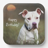 Weißer Pitbull Pappteller (Vorderseite)