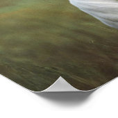 Weißer Pitbull Poster (Ecke)