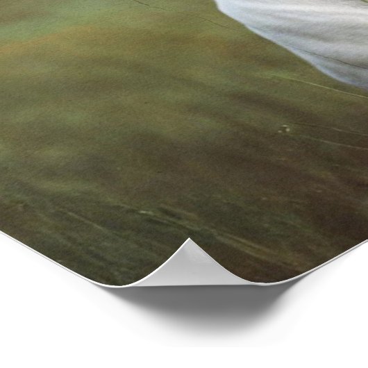 Weißer Pitbull Poster (Ecke)