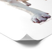 Weißer Pitbull-Welpe Poster (Ecke)