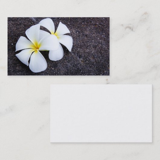 Weißer Plumeria-Blumefrangipani-Blumenlava-Felsen Visitenkarte (Vorne/Hinten)