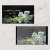 Weißer Plumeria Visitenkarte (Vorne/Hinten)