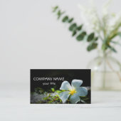 Weißer Plumeria Visitenkarte (Stehend Vorderseite)