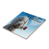 Weißer poddle Hundewelpe mit einem Rote Rose Fliese (Seite)