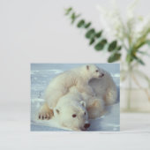 Weißer Polar Postkarte (Stehend Vorderseite)
