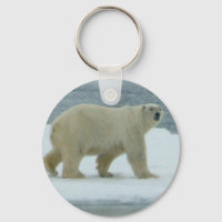 Weißer Polar