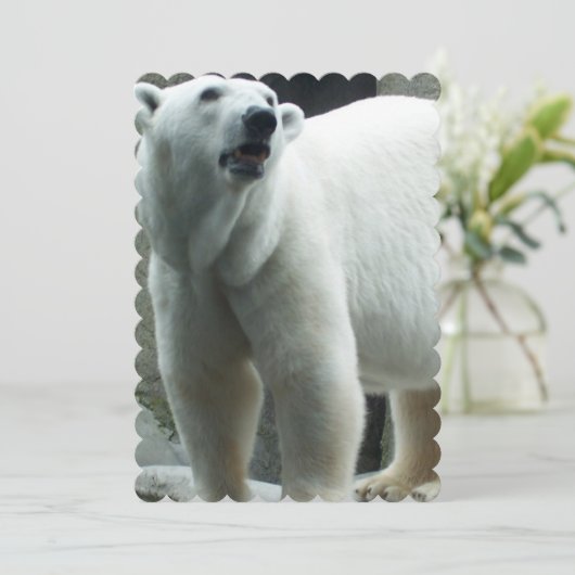 Weißer Polarbär Einladung (Stehend Vorderseite)