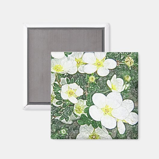 Weißer Potenzialmagnet Magnet (Vorderseite/Rückseite)