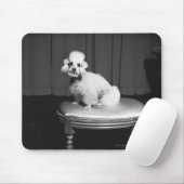 Weißer Pudel, der auf Schemel B&W sitzt Mousepad (Mit Mouse)
