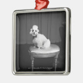 Weißer Pudel, der auf Schemel B&W sitzt Silbernes Ornament (Links)